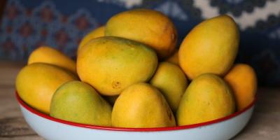 Representative image of a bowl of mangoes. Photo: hotchicksing/Unsplash