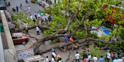 Locals gather at the site after an uprooted tree falls on a vehicle owing to strong winds and heavy rain, at the Nadesar area in Varanasi, Monday, May 23, 2022. Photo: PTI. 