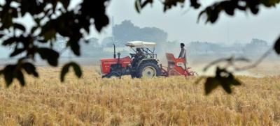 Representative image. A farmer in Punjab. Photo: CIAT/Flickr (CC BY-SA 2.0)
