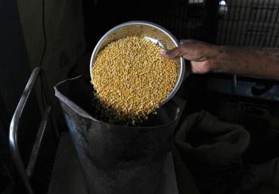 A man who runs a government subsidised food shop weighs lentil inside his shop in Chennai July 9, 2013. Photo: Reuters/Babu