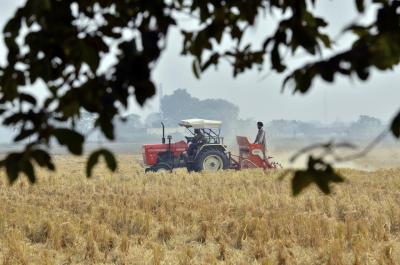 A farmer in Punjab. Photo: CIAT/Flickr CC BY-SA 2.0