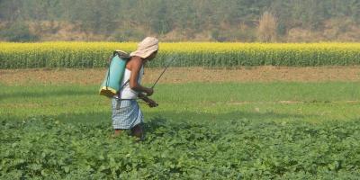 Representative image of a farmer spraying fertilizer. Photo: IFPRI/Flickr CC BY NC ND 2.0