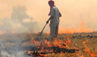 Stubble burning is a popular practice for getting rid of  residues of the rice crop to prepare the land for the sowing of wheat, exacerbated by the emphasis placed on cereal production. Photo: Flickr/2011CIAT/NeilPalmer CC BY-SA 2.0.