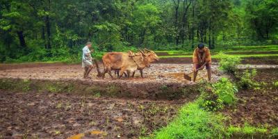 Representative image of farmers in Goa. Credit: Public Doman