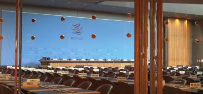 World Trade Organization conference. Photo: Screengrab via video on WTO Website. 