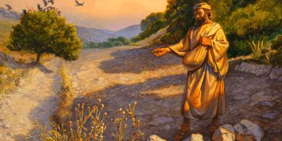 Image representing the sower in the Parable. Photo: www.gospelimages.com