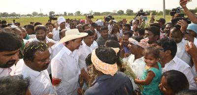 KCR inspects dried up crops on Friday (April 5). Photo: By arrangement.
