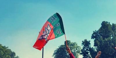 Representative image of a BJP flag. Photo: Ismat Ara/ The Wire
