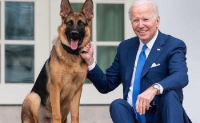El perro de Biden muerde a un agente del Servicio Secreto