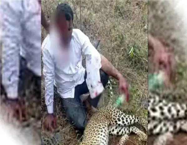 Real Life George Kutty: K'taka man strangles leopard to death after animal  attacks him and family | udayavani