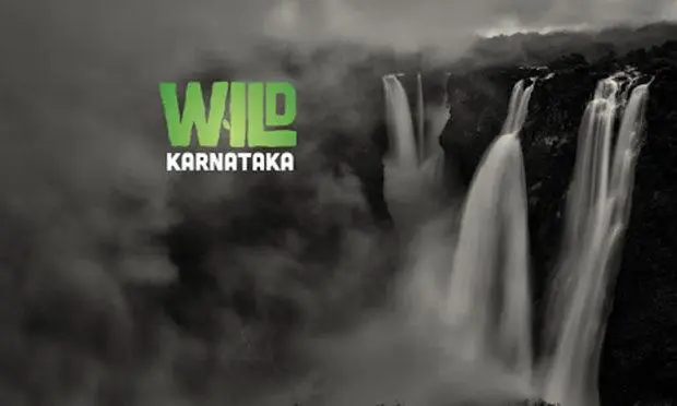 Rishab Shetty voices 'Wild Karnataka' documentary in Kannada | udayavani