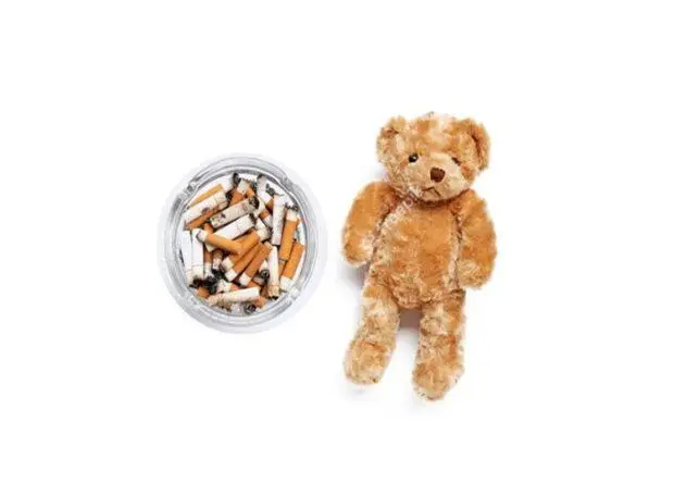 Teddy bear stuffing from cigarette butts?