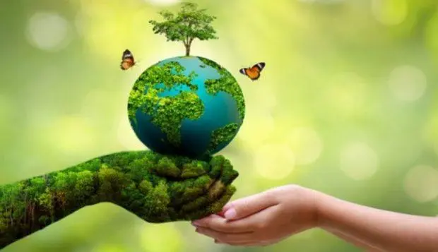 Download Clean Environment Clean Environment