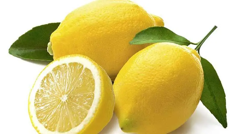জেনে নিন অসাধারণ কিছু লেবুর উপকারিতা 3 Decorates your home by lemon in this festive season